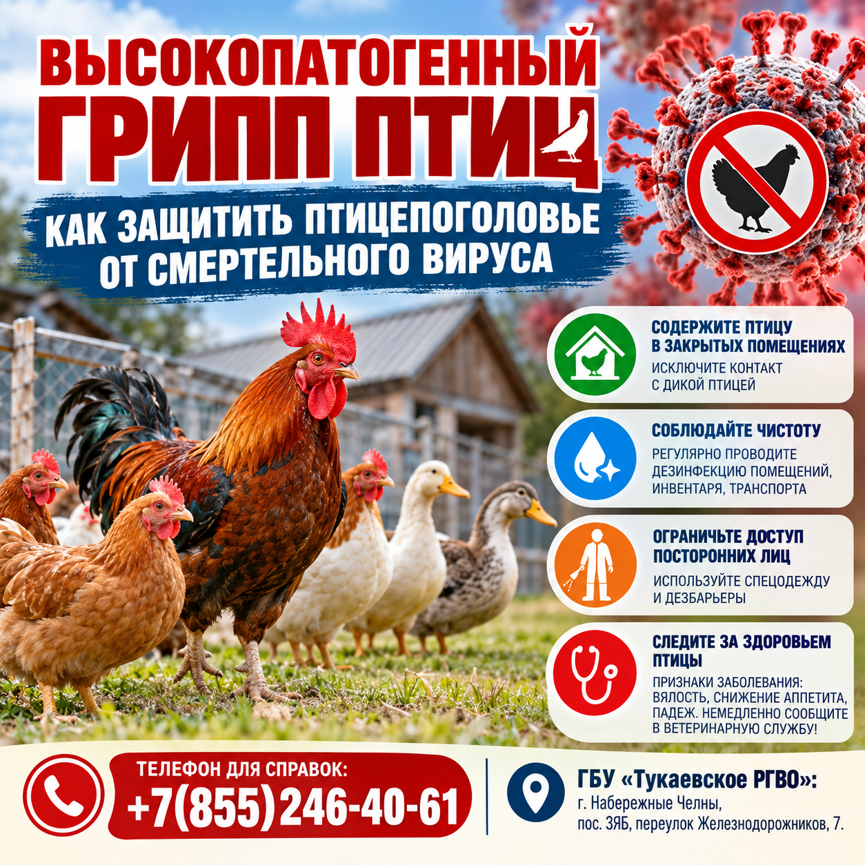 Высокопатогенный грипп птиц: как защитить птицепоголовье от смертельного вируса