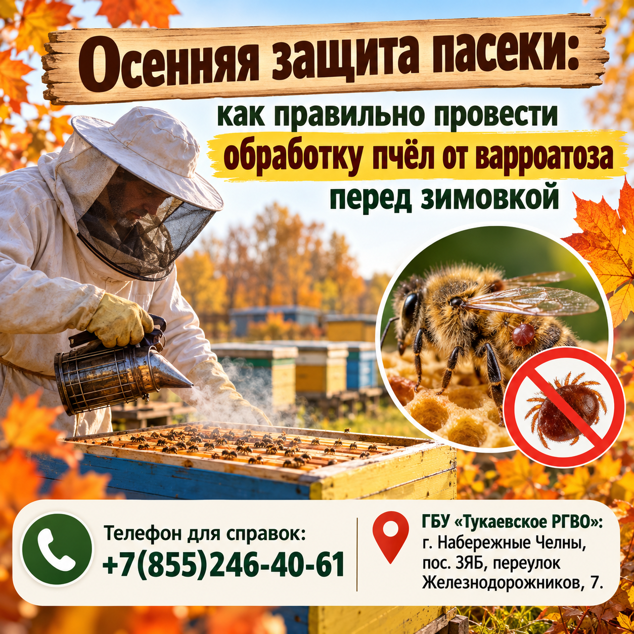 Как правильно провести обработку пчёл от варроатоза перед зимовкой